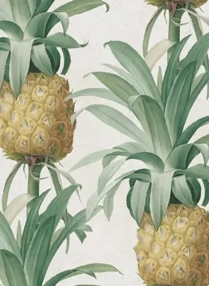 Mindthegap Carta da parati Ananas - WP20090