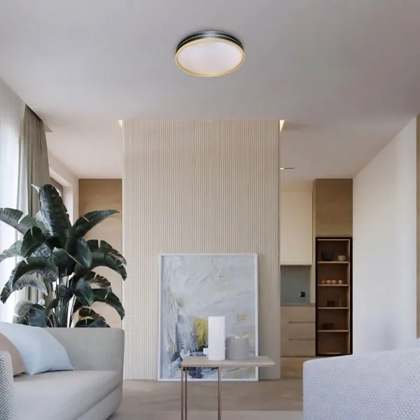 Rabalux 71141 - Plafoniera LED dimmerabile GANDOR LED/24W/230V 3000-6500K