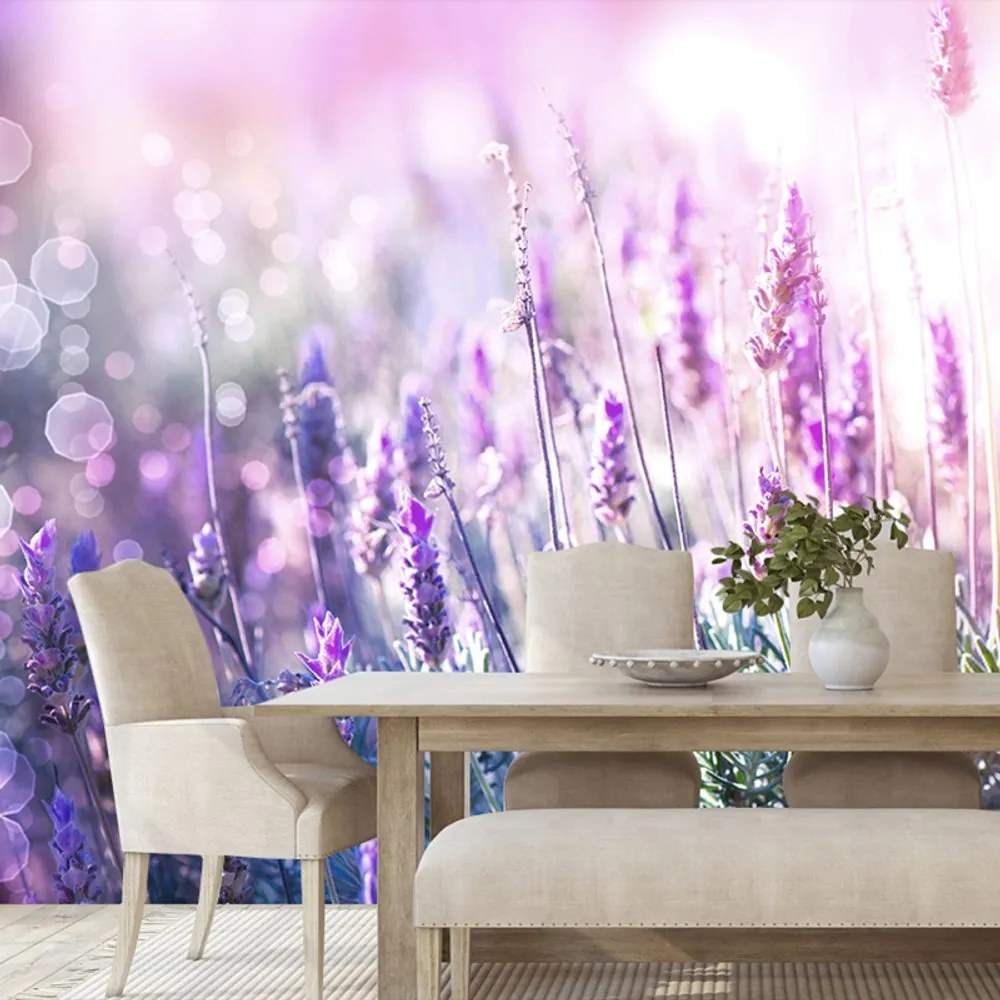 Carta da parati autoadesiva – Fiori magici di lavanda