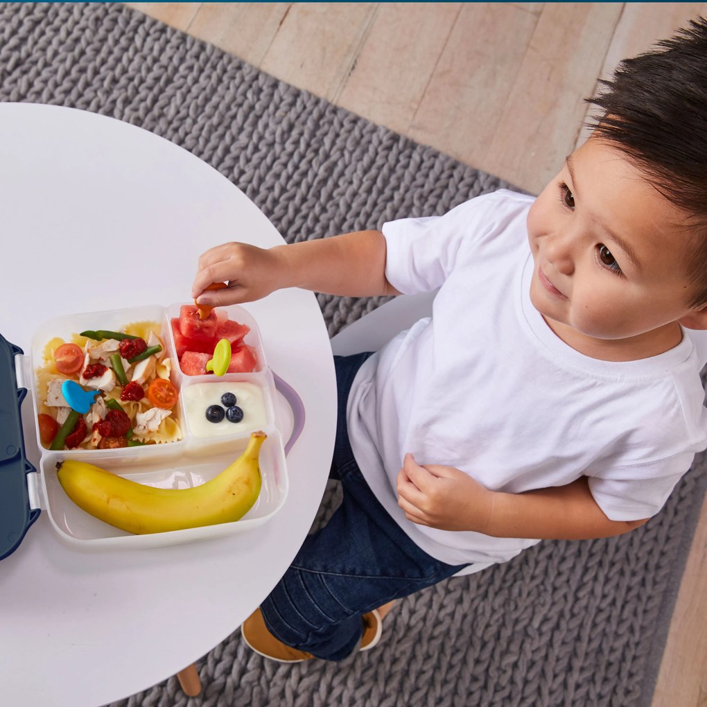 Box porta merenda grande – indaco/rosa