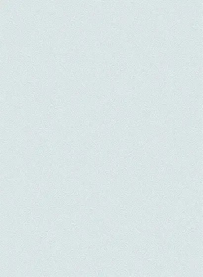 Cole & Son Carta da parati Coral - Powder Blue