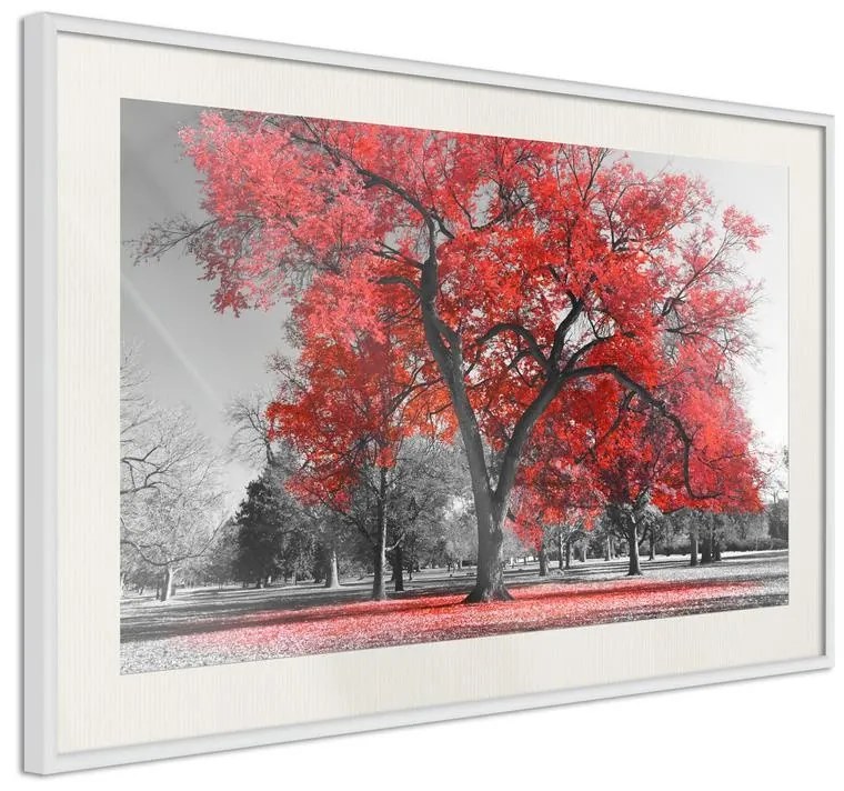 Poster  Red Tree  Cornice Quadri Cornice nera con pass-partout, Larghezza x Altezza Home decor 30x20