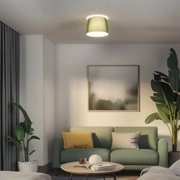 Brilagi - Plafoniera LED CERIA a montaggio superficiale 1xE27/40W/230V Ø 30 cm verde