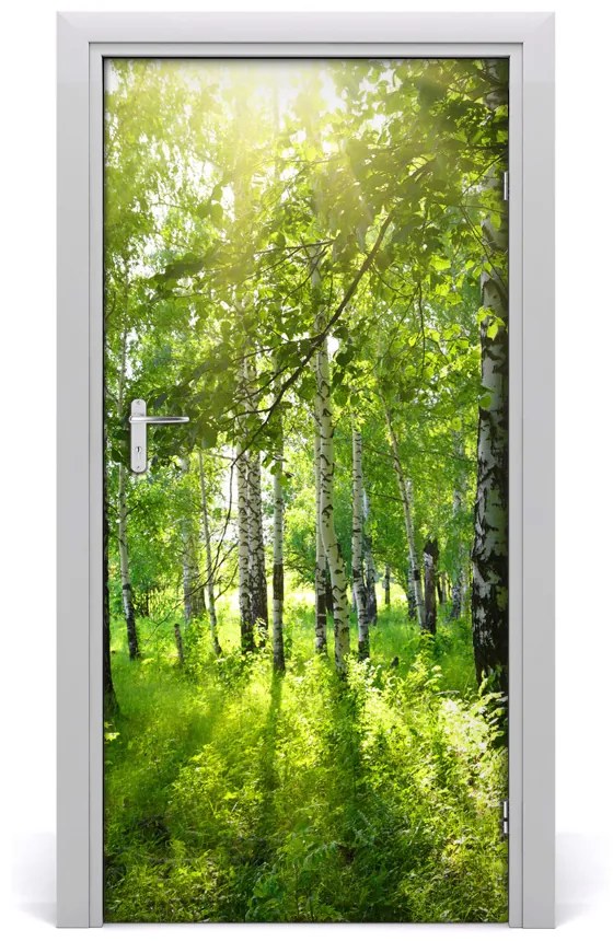 Adesivo per porta Foresta di betulla 85x205 cm