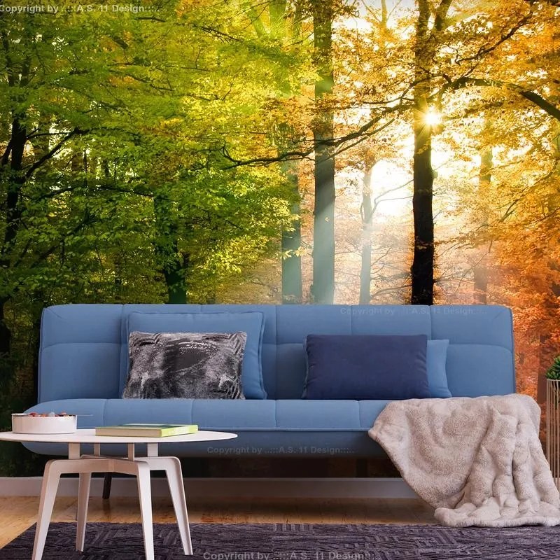 Fotomurale adesivo  Forest Colours  Larghezza x Altezza Home decor 147x105