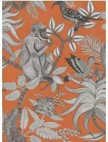 Afrikanische Tapete Savuti von Cole & Son - Orange/ Charcoal