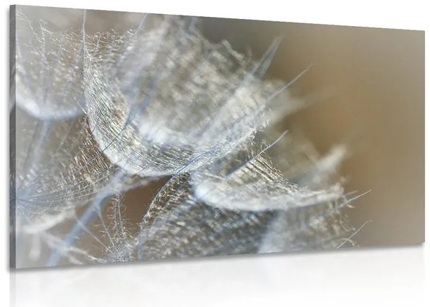 Quadro su tela – Macro soffione su sfondo
