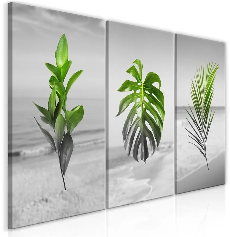 Quadro  Plants (Collection)  Colore Grigio, Dimensioni e Misure 120x60