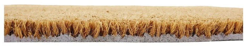 Zerbino in fibre di cocco 40x60 cm Midnight Garden x Celia Battaini – Artsy Doormats