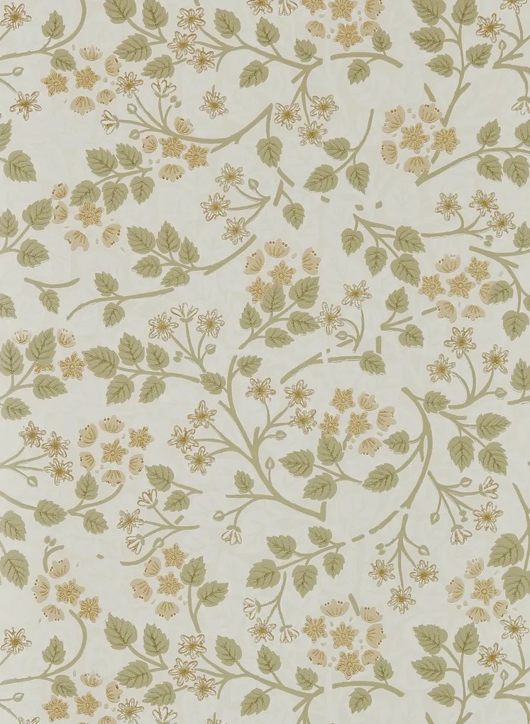 Sanderson Carta da parati Silver Lime - Lichen