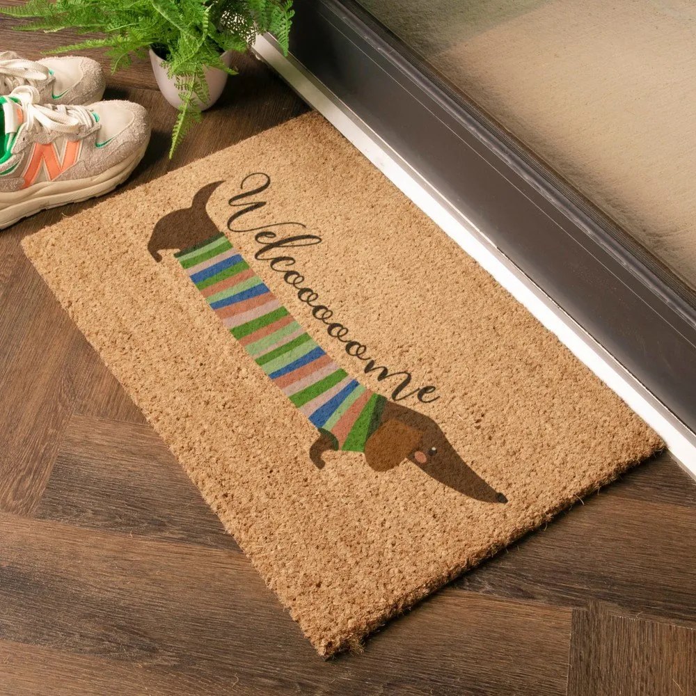 Zerbino in fibre di cocco 40x60 cm Welcome Sausage Dog – Artsy Doormats