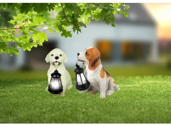 Globo 33371 - Lampada solare SOLAR 1xLED/0,06W/3V IP44