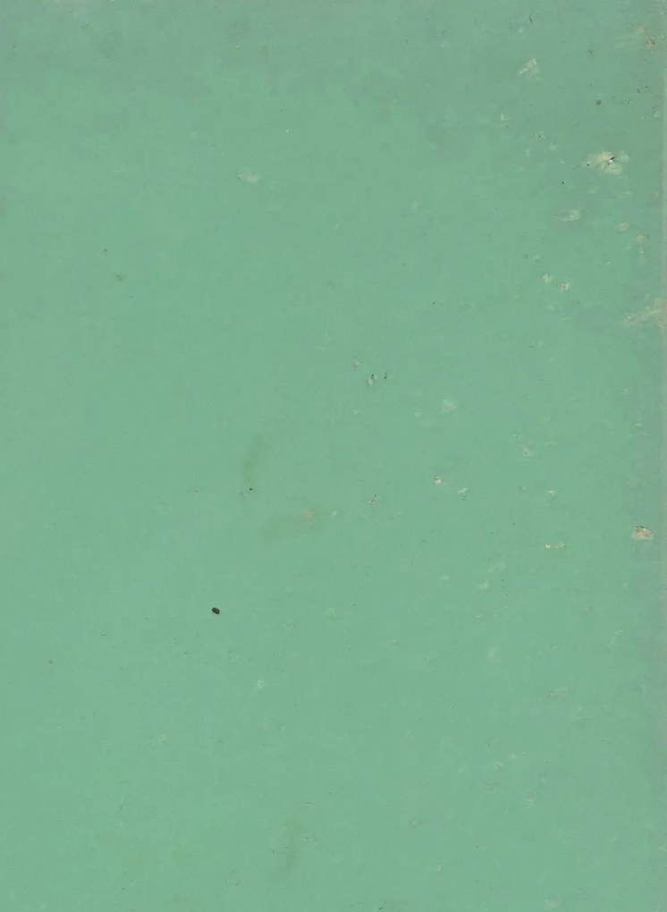 Terrastone Rustique floor - 15kg - 88 - Smaragdgrün - 15 kg