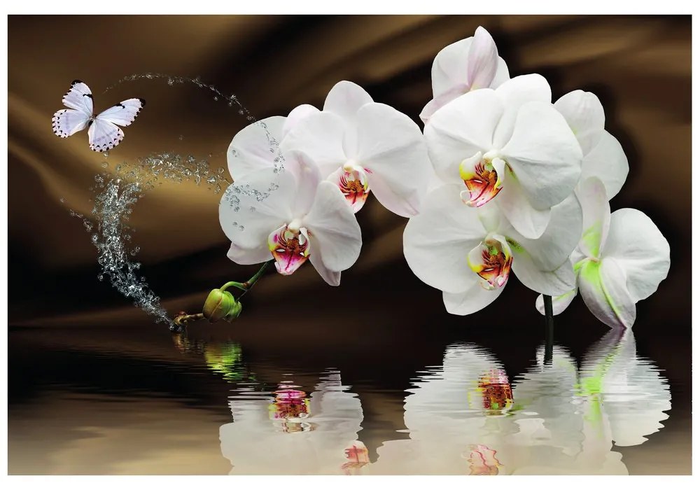 Carta da parati – Orchidea e farfalla