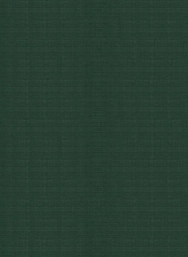 Arte International Carta da parati Line - Grey Forest