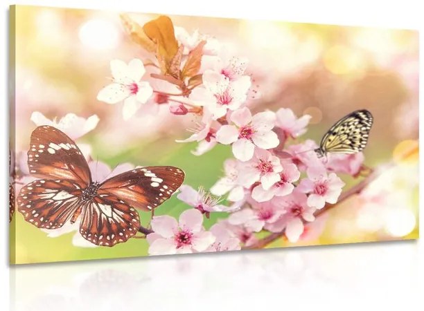 Quadro su tela – Fiori primaverili con farfalle esotiche
