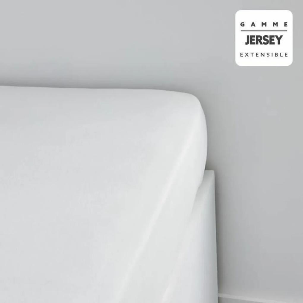 Lenzuolo con angoli aderenti TODAY Essential Bianco 90 x 190 cm
