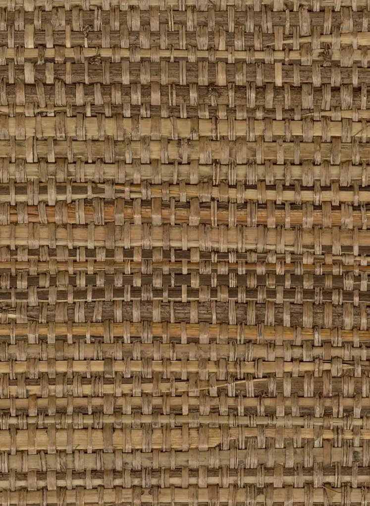 CMO Paris Tapete Papyrus Brut - Tabac