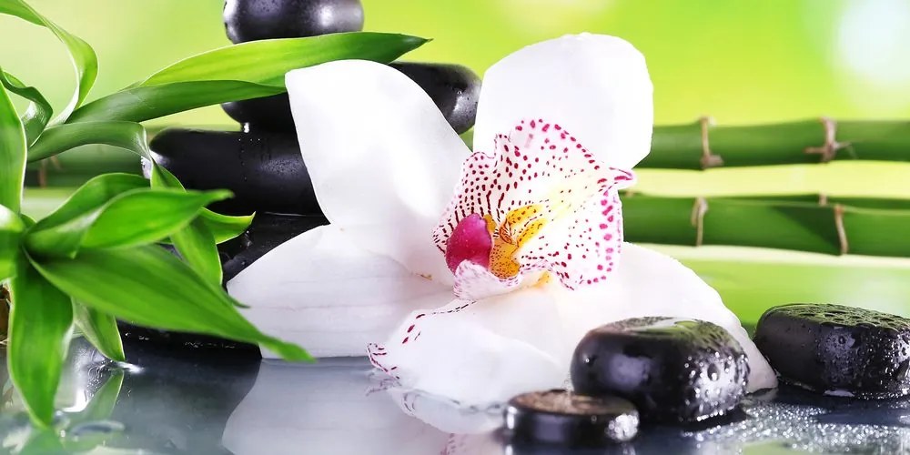 Stampa su tela – Orchidea con tema giapponese