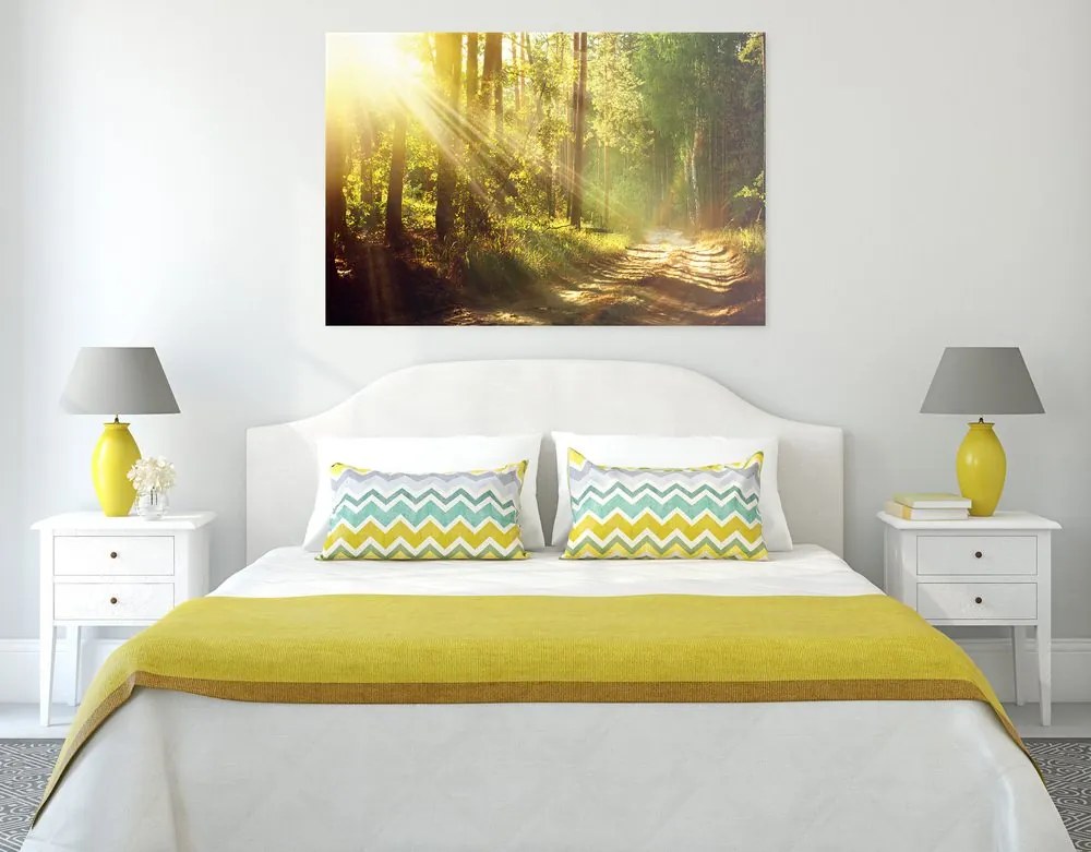 Quadro su tela – Raggi di sole nella foresta