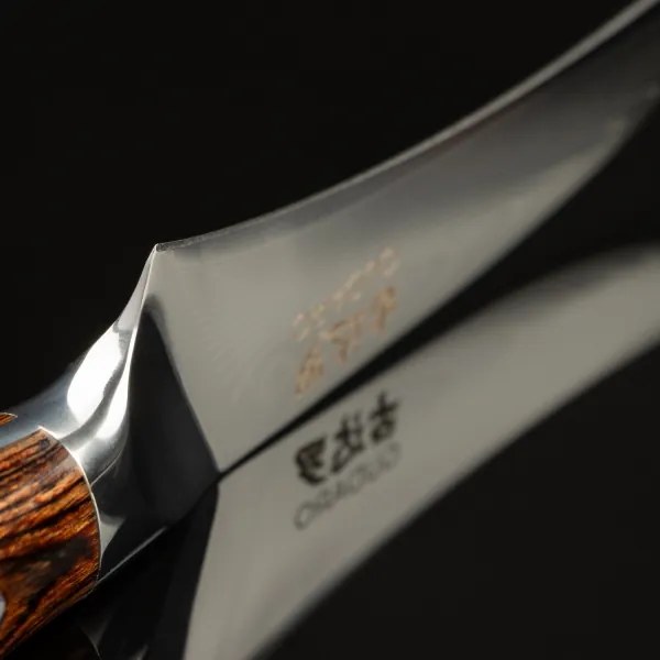 Gudaro - Coltello da cucina per frutta in acciaio damascato FENG 3,5", 67 strati d'acciaio, lunghezza 9,5 cm