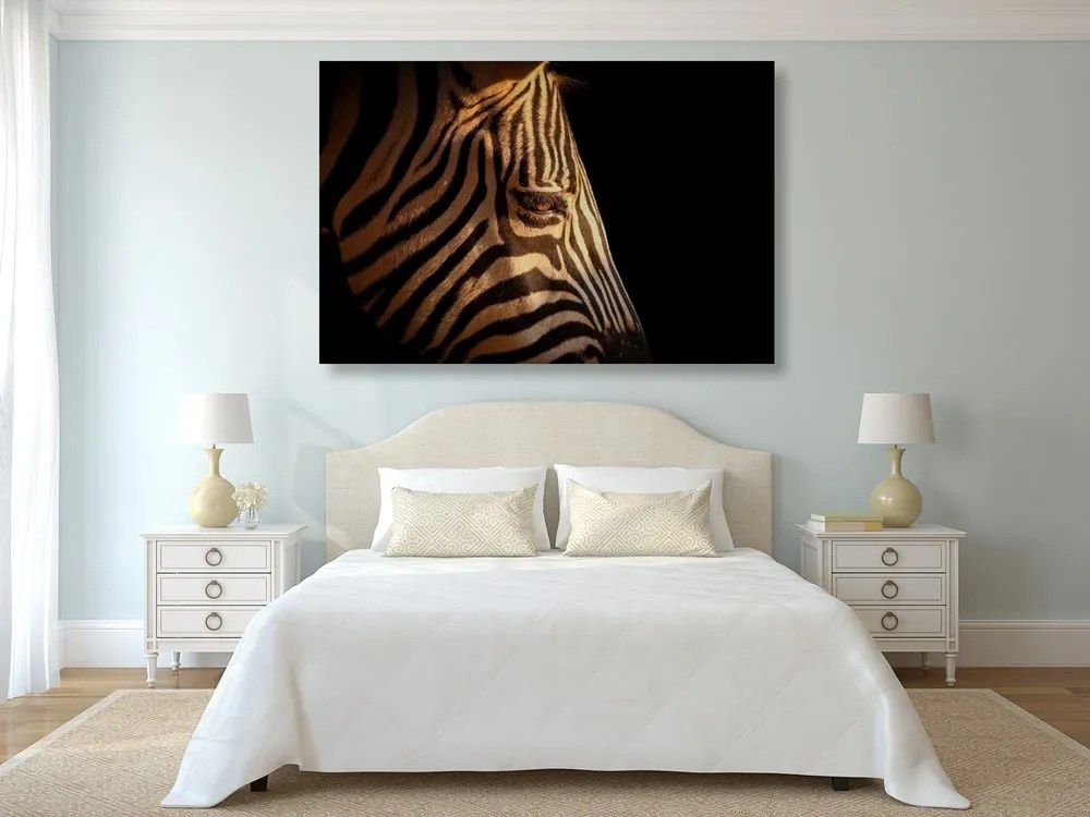 Stampa su tela – Ritratto di zebra