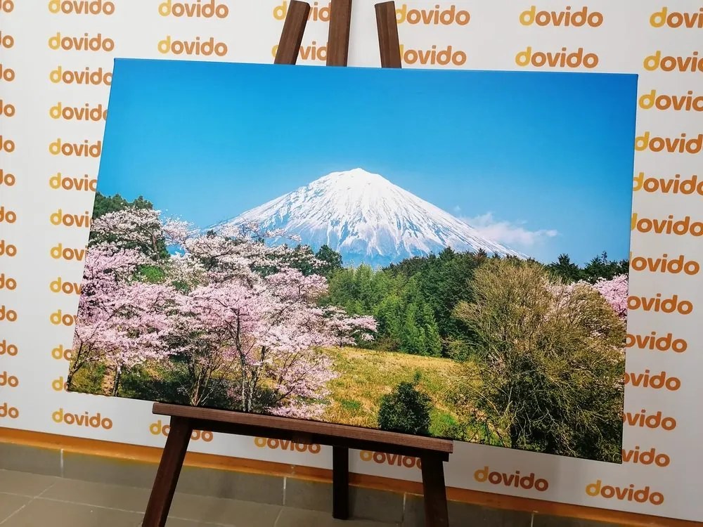 Stampa su tela – Vulcano Fuji