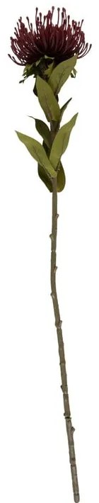 Fiore artificiale (altezza 60 cm) Protea - PT LIVING