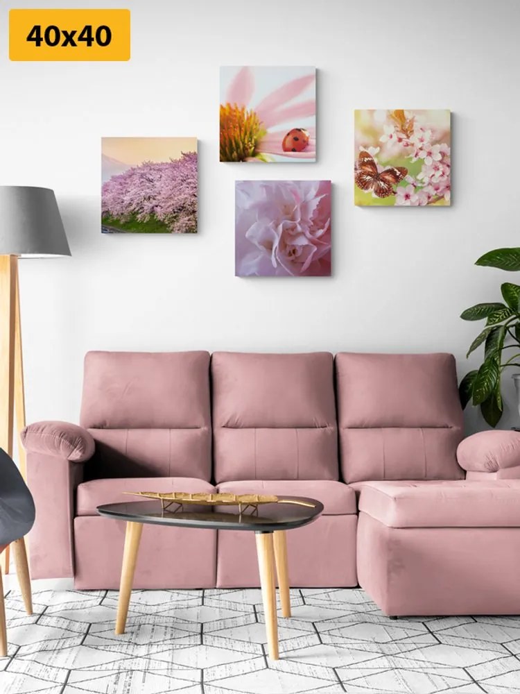 Set di quadri – Fioritura della natura