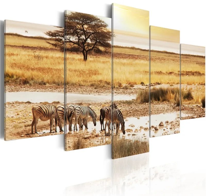 Quadro Zebre nella savana  Colore Marrone, Dimensioni e Misure 100x50