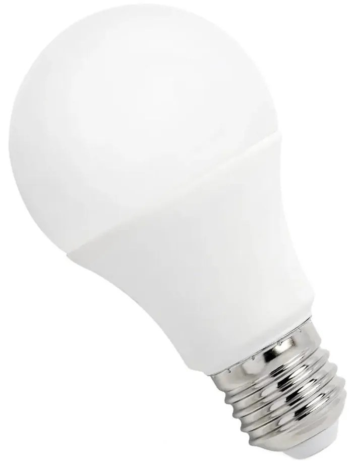 Lampadina LED GLS A60 E27/4,9W/230V 6000K
