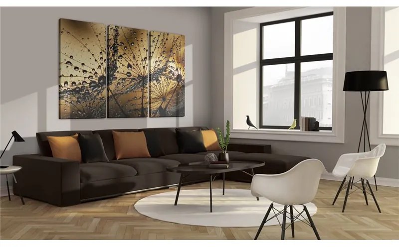 Quadro Soffione e rugiada  Colore seppia, Dimensioni e Misure 60x40