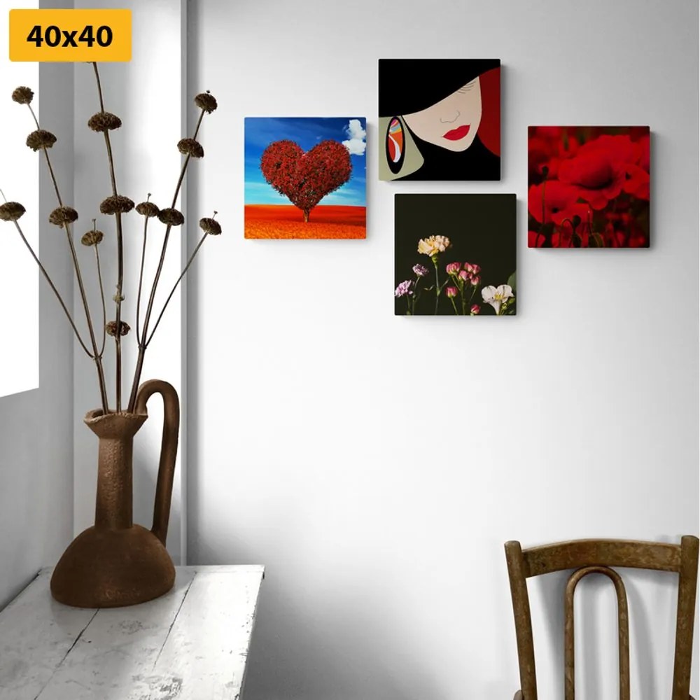 Set di quadri – Signora elegante