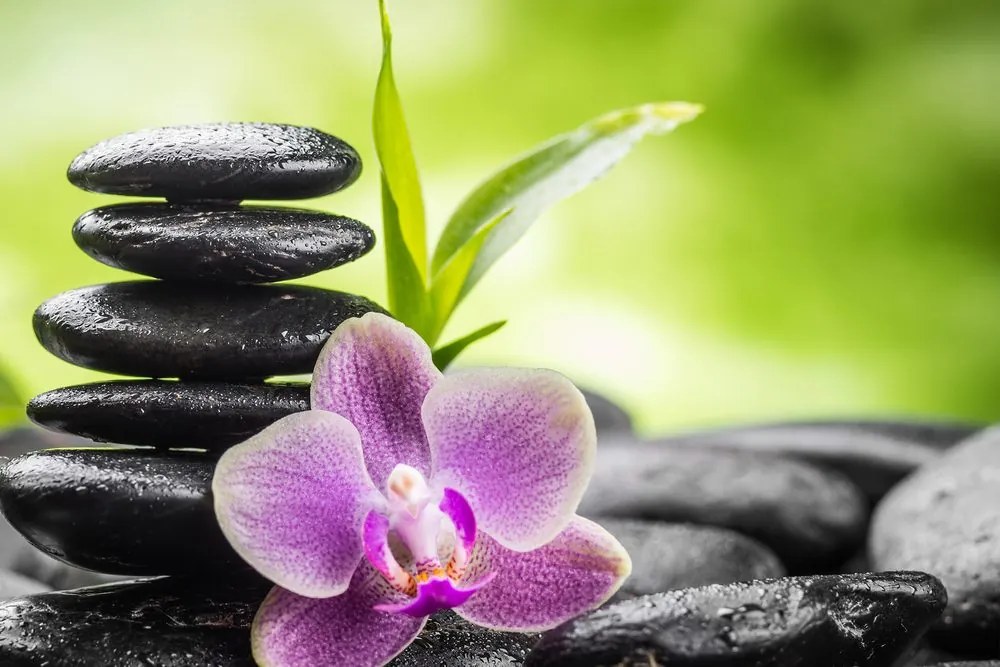 Stampa su tela – Composizione Zen meditativa