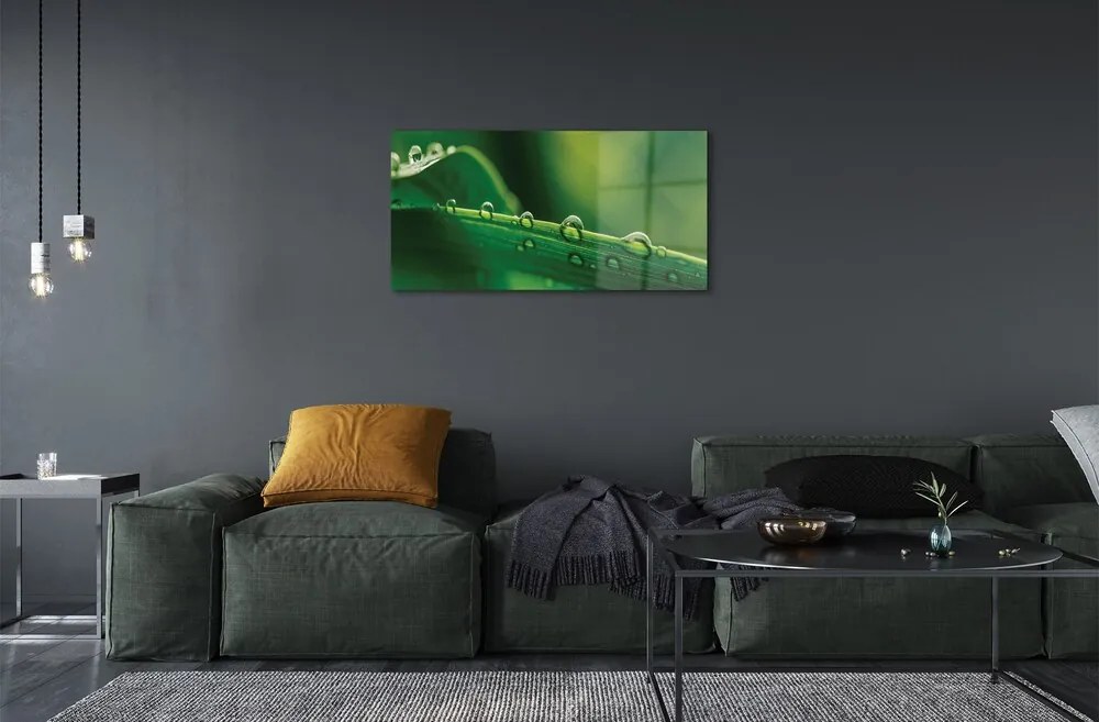 Quadro di vetro Macro gocce d'erba 100x50 cm 2 appendini
