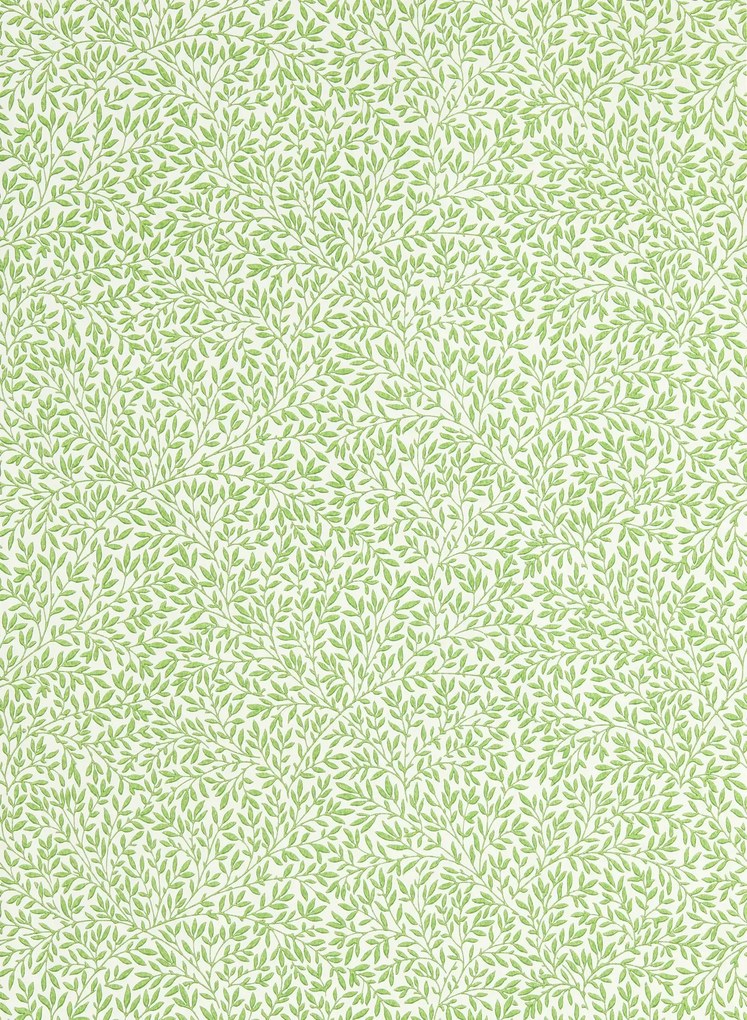 Morris & Co Carta da parati Simply Standen - Leaf Green