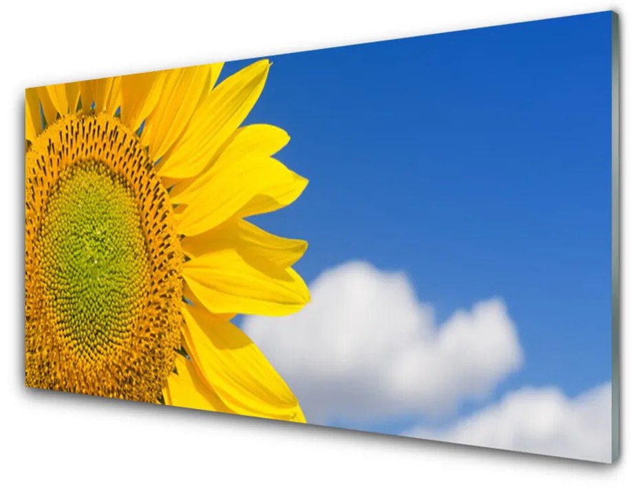 Quadro acrilico Nuvole del cielo del girasole 100x50 cm 2 appendini