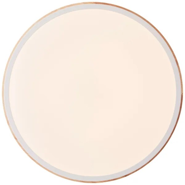 Brilliant - Plafoniera LED dimmerabile BAARLO LED/24W/230V diametro 35 cm bianco