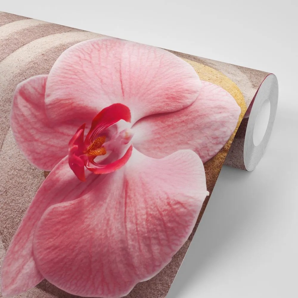 Carta da parati – Sabbia marina e orchidea rosa