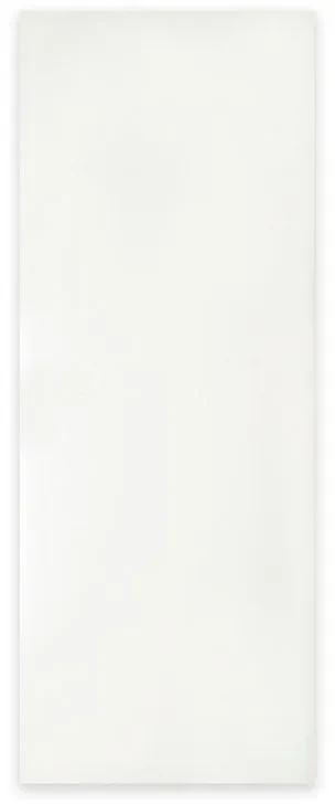 Pannello per porta d'ingresso verniciato prodotto senza rivestimento bianco L 95  x H 215 cm, Sp 0.6 mm