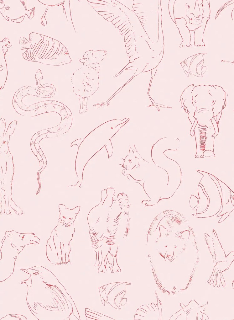 Coordonne Carta da parati Zoology - Candy