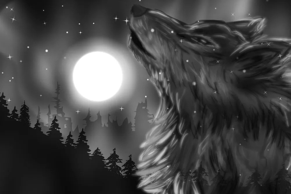 Stampa su tela – Luna dei lupi in bianco e nero