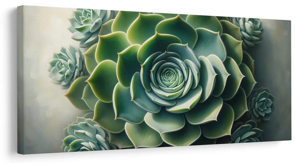 Quadro su tela – Bellezza della pianta grassa