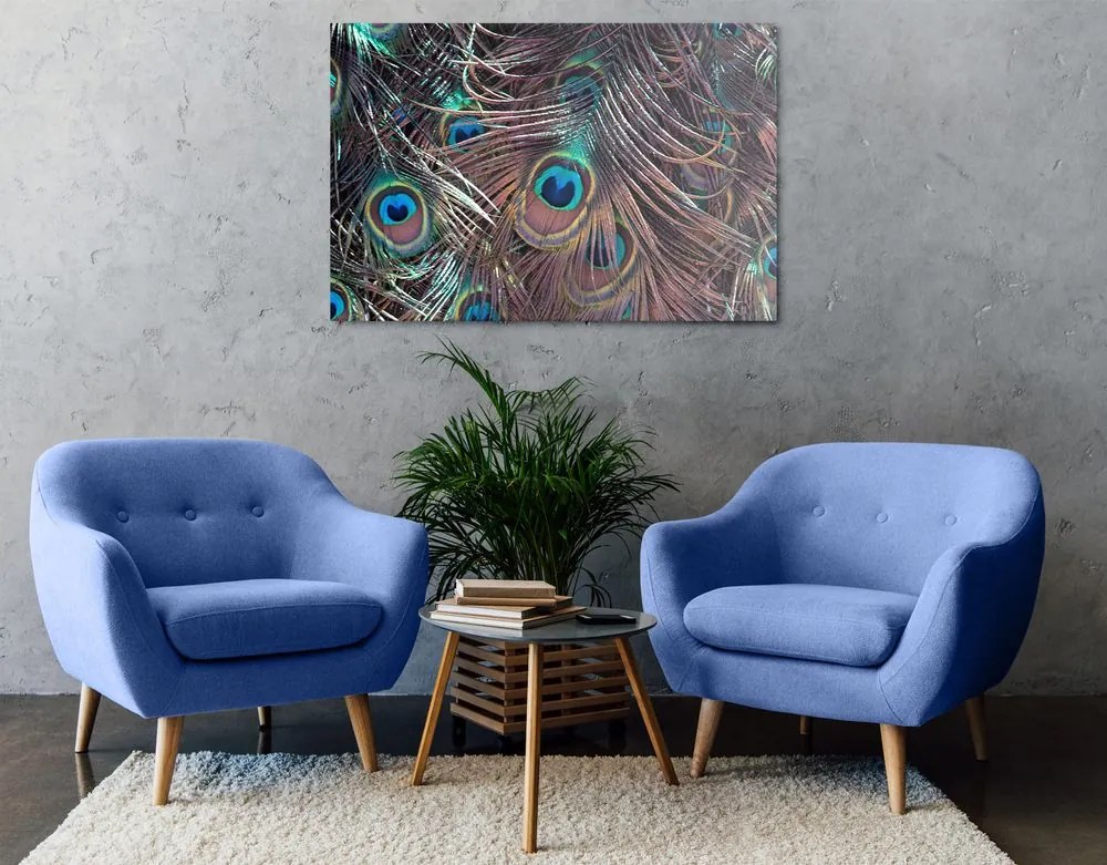 Quadro su tela – Piuma di pavone