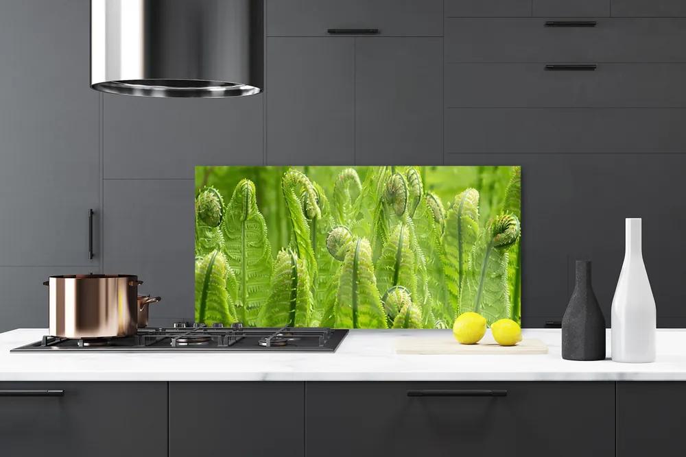 Pannello paraschizzi cucina Pianta della natura 100x50 cm
