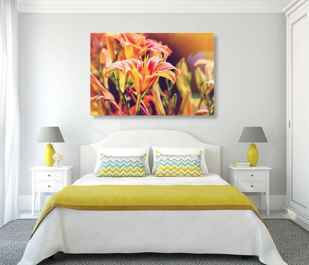 Quadro su tela – Splendidi fiori in giardino