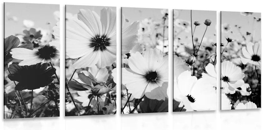 Quadri 5 pezzi – Prato di fiori primaverili in bianco e nero