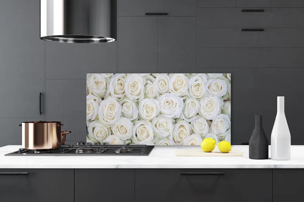 Pannello paraschizzi cucina Rose, fiori, piante 100x50 cm