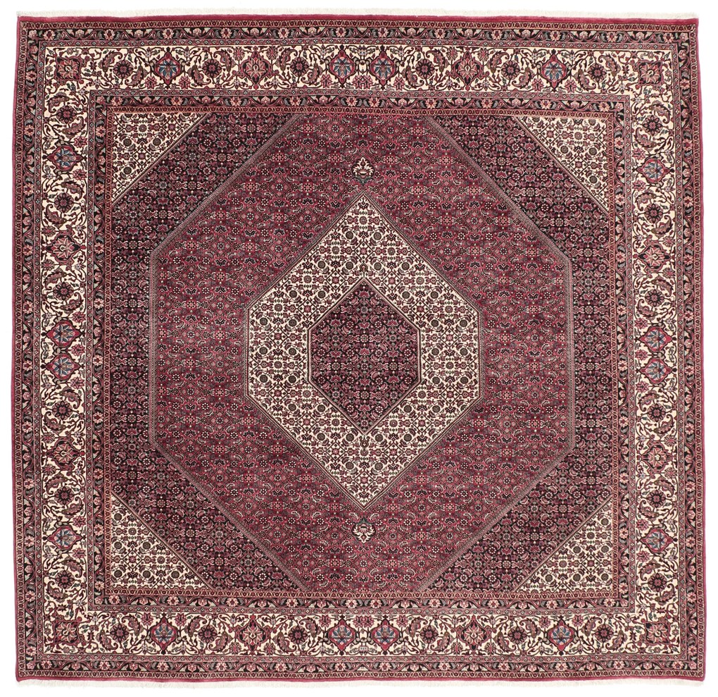 Bidjar Tappeto persiano 260x250 (Iran) Annodato A Mano