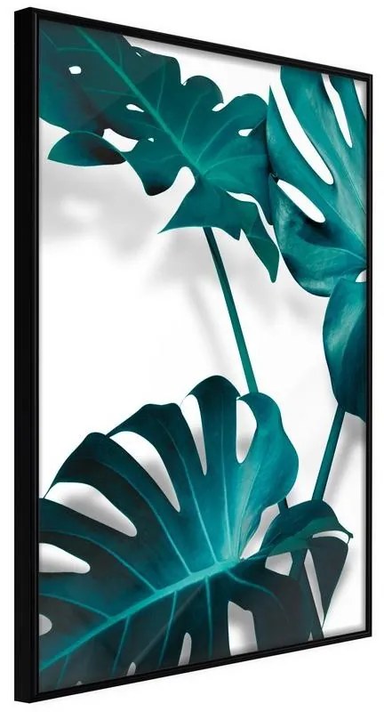 Poster Turquoise Monstera II